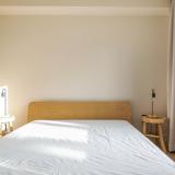 Prinsegracht 66 B, 2512 GB 's-gravenhage