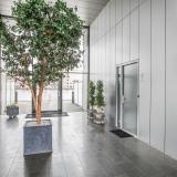De Steven 29 , 1502 BR Zaandam