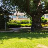 Graan voor Visch 18826 , 2132 GJ Hoofddorp