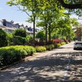 Graan voor Visch 18826 , 2132 GJ Hoofddorp
