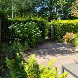 Graan voor Visch 18826 , 2132 GJ Hoofddorp
