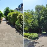 Graan voor Visch 18826 , 2132 GJ Hoofddorp