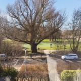 Graan voor Visch 18826 , 2132 GJ Hoofddorp
