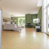 Iraklia 1 , 2134 AN Hoofddorp