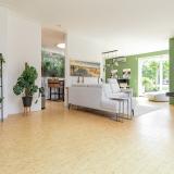 Iraklia 1 , 2134 AN Hoofddorp