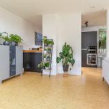 Iraklia 1 , 2134 AN Hoofddorp