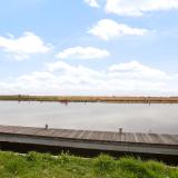 Leimuiderdijk 238 , 2154 MN Burgerveen