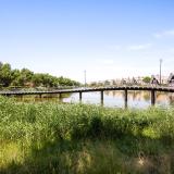 Nabuccosingel 167 , 2152 PB Nieuw-vennep