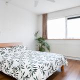 Palmestein 48 , 2151 HM Nieuw-vennep