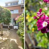 Palmestein 48 , 2151 HM Nieuw-vennep