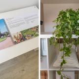 Hoofdweg 1289 , 2151 MA Nieuw-vennep