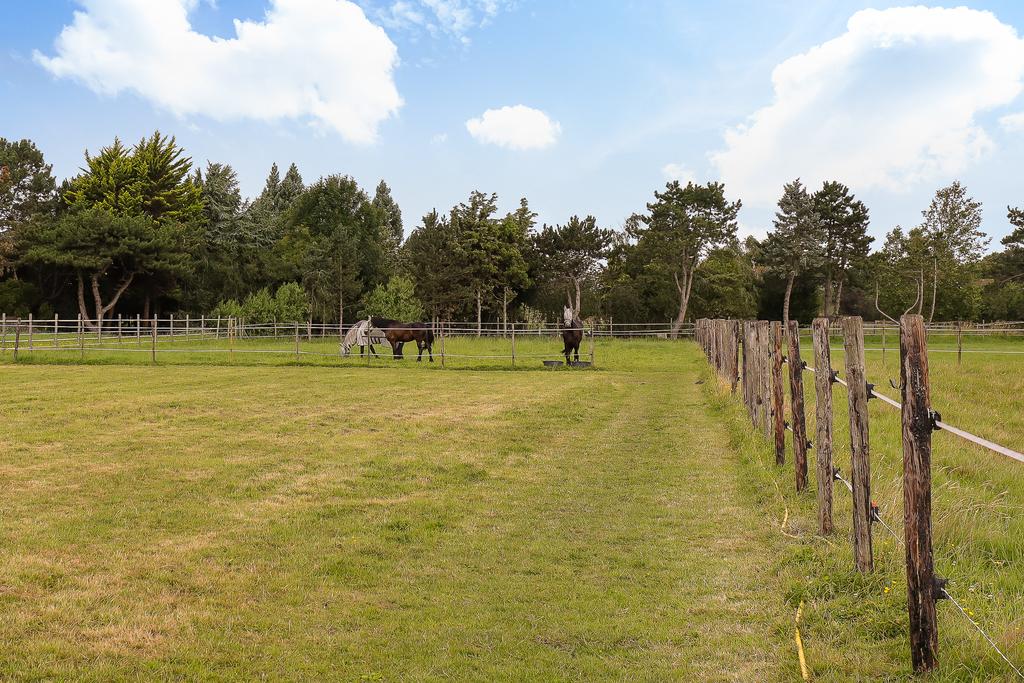 Spieringweg 1107, 2136 LP Zwaanshoek