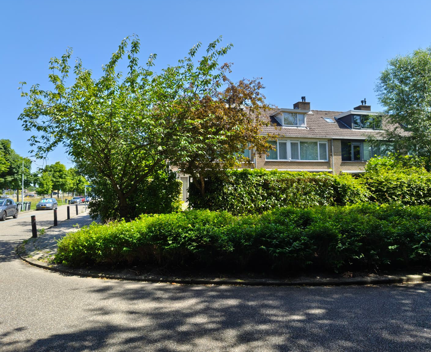 Graan voor Visch 18826 , 2132 GJ Hoofddorp