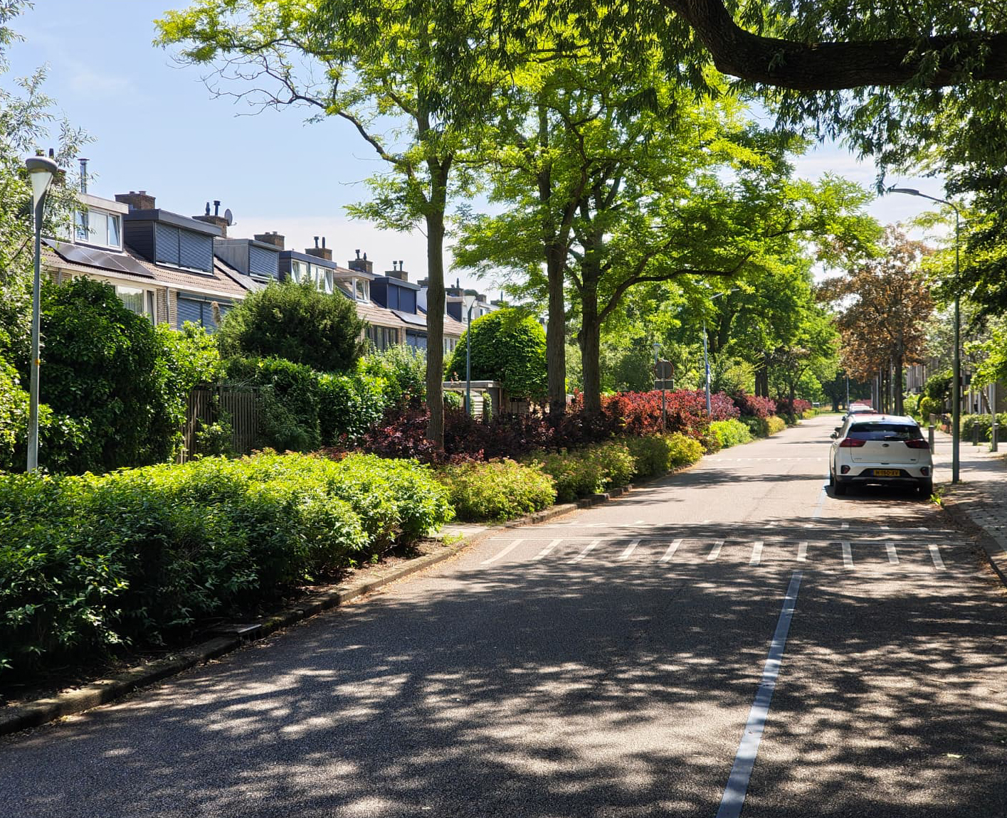 Graan voor Visch 18826 , 2132 GJ Hoofddorp