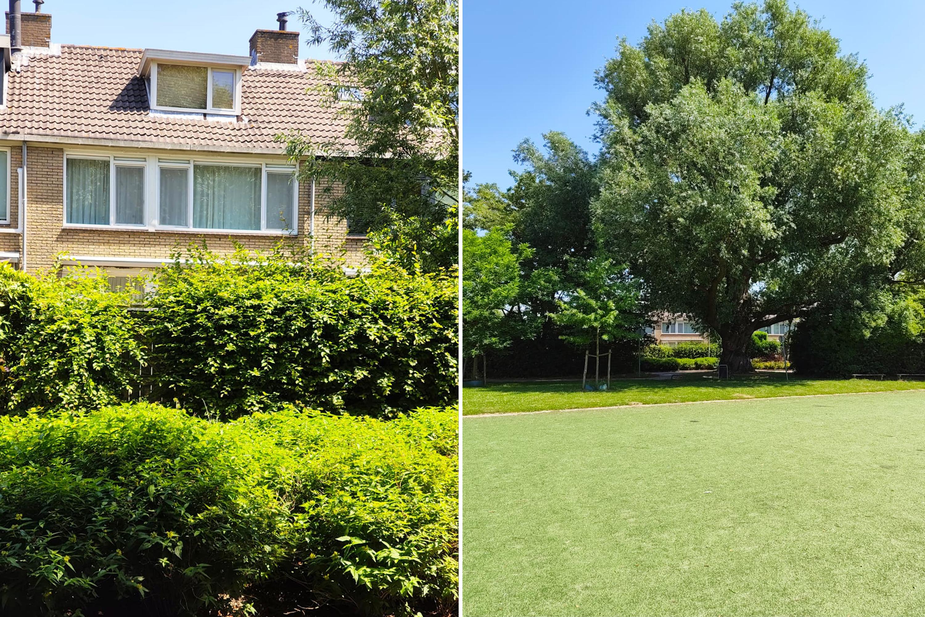 Graan voor Visch 18826 , 2132 GJ Hoofddorp