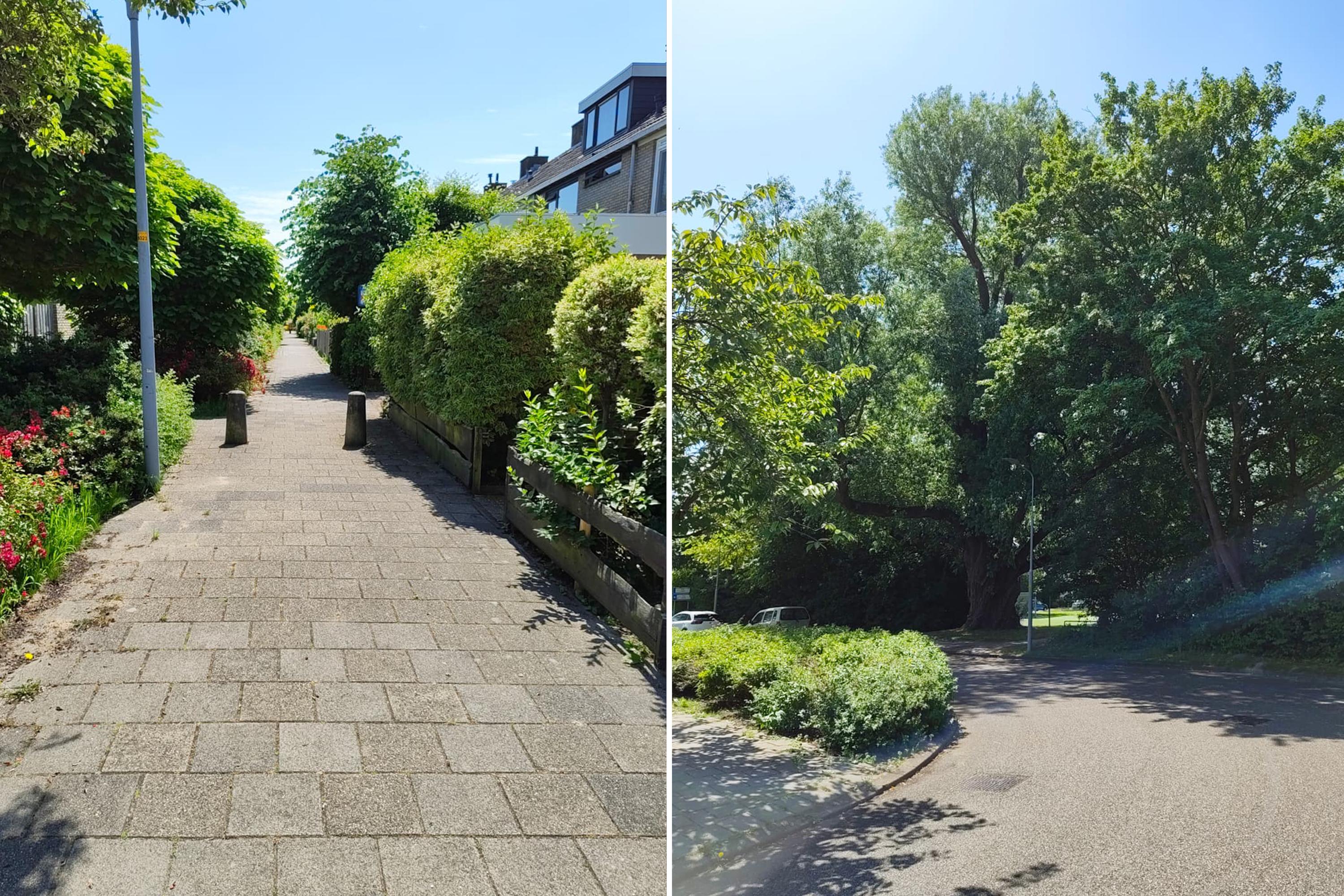 Graan voor Visch 18826 , 2132 GJ Hoofddorp
