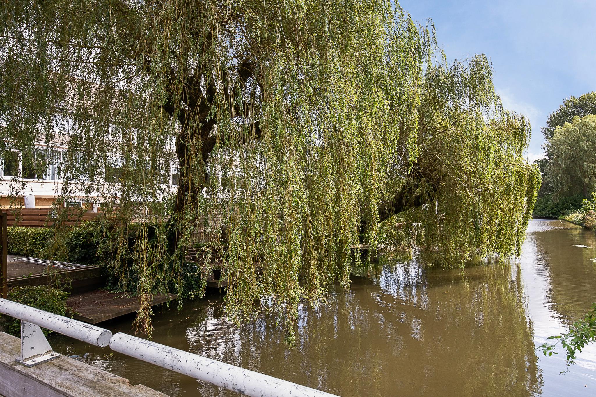 Zwattingburen 64 , 2151 ZL Nieuw-vennep