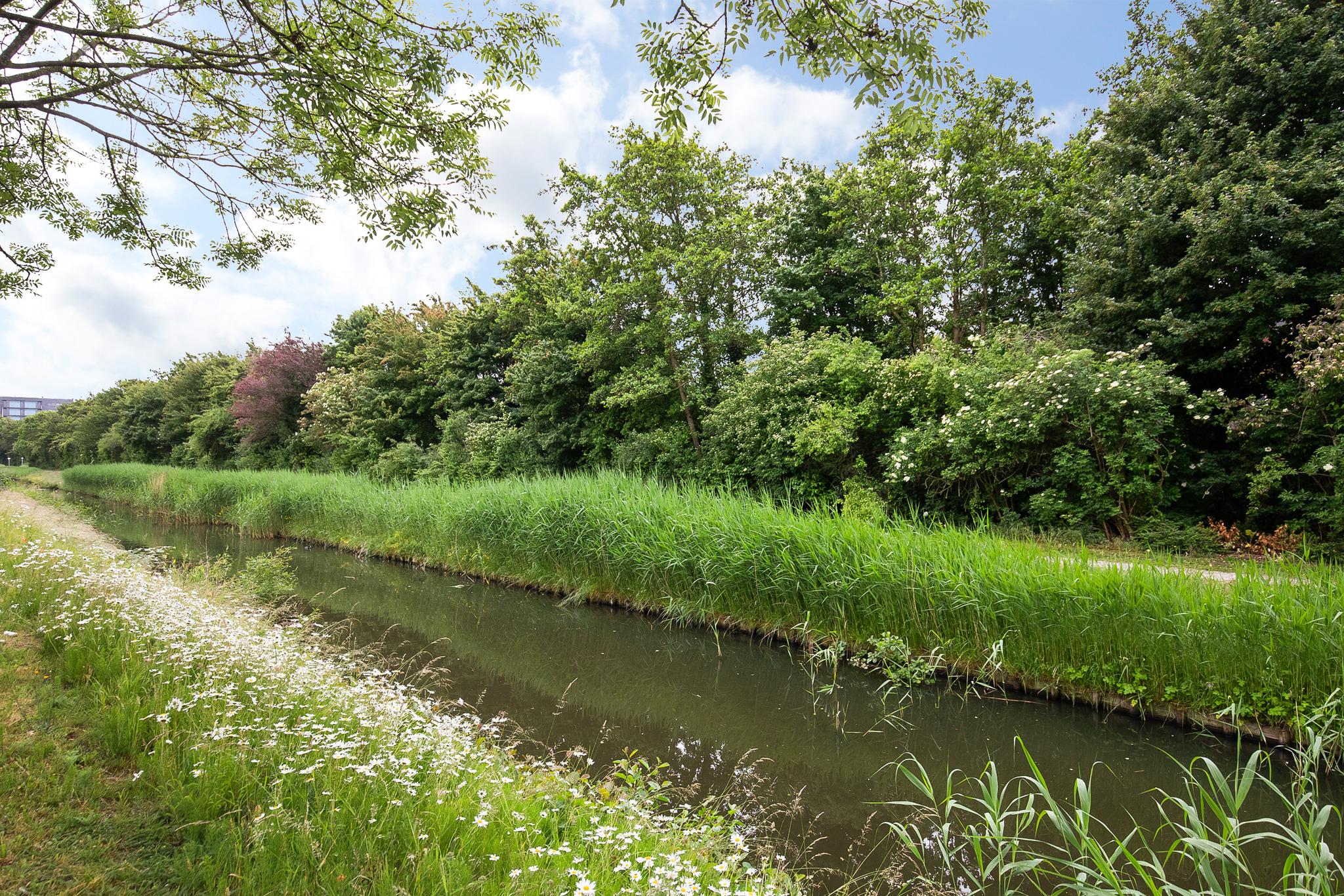 Maria Tesselschadelaan 141 , 2135 RH Hoofddorp