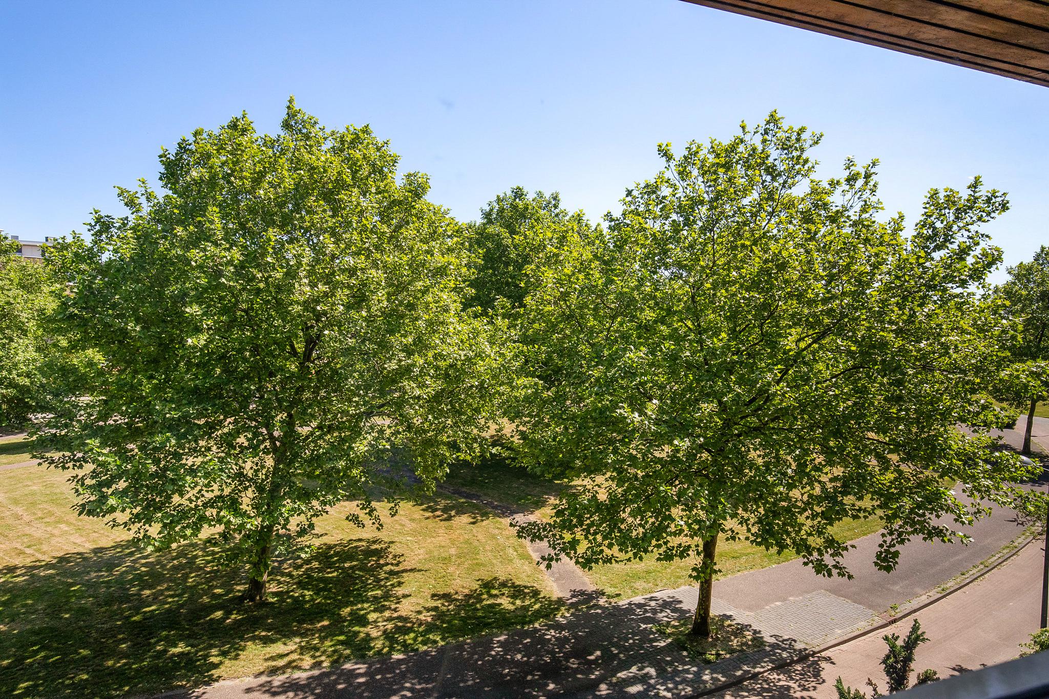 Zomerpark 28 , 2151 HA Nieuw-vennep