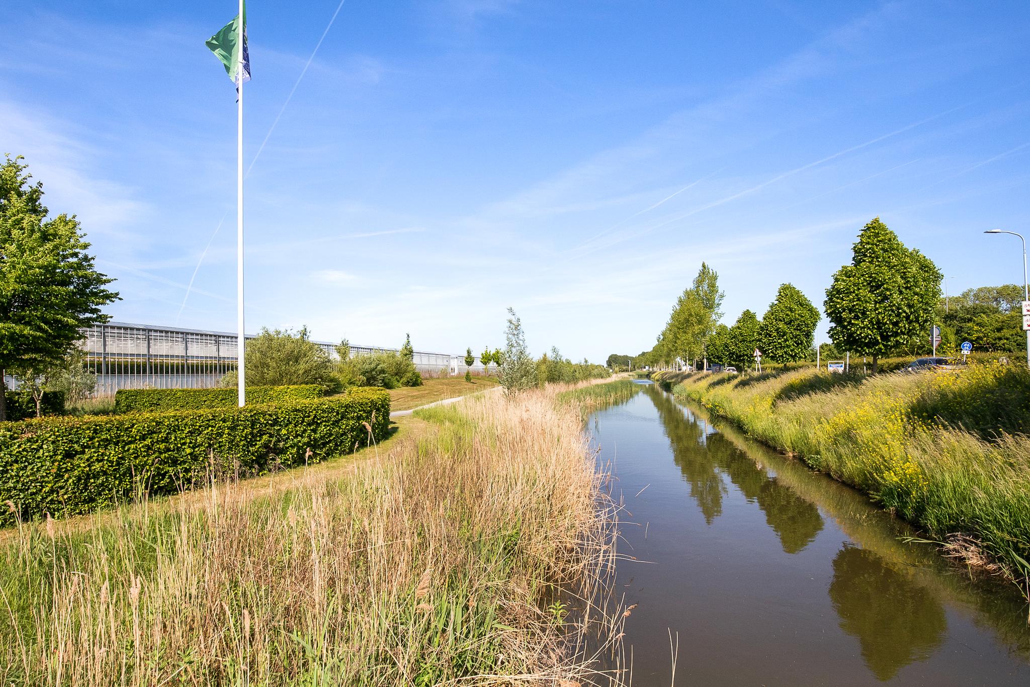 Bennebroekerweg 111 , 1435 CH Rijsenhout