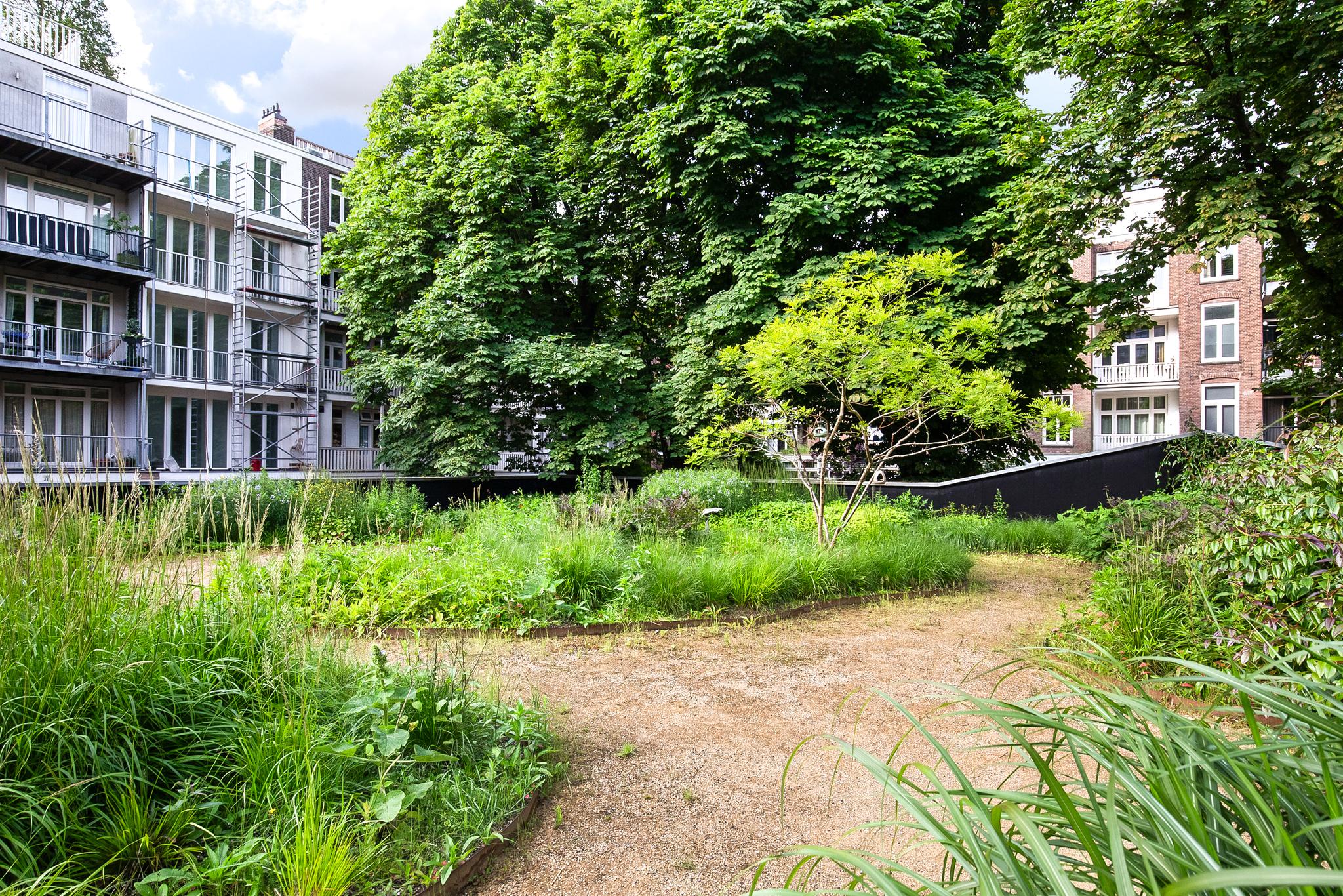 Graaf Florisstraat 2 F, 1091 TG Amsterdam