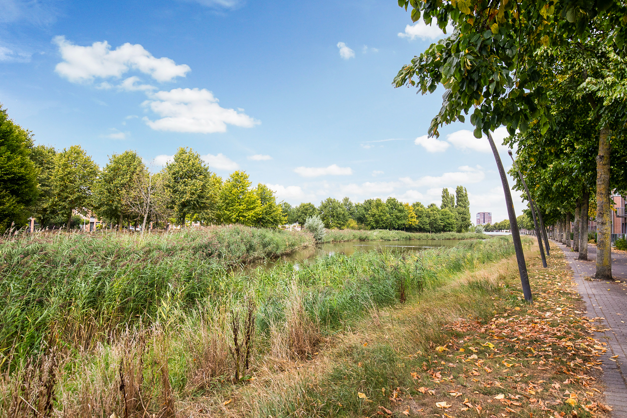 Nabuccosingel 9 , 2152 DA Nieuw-vennep