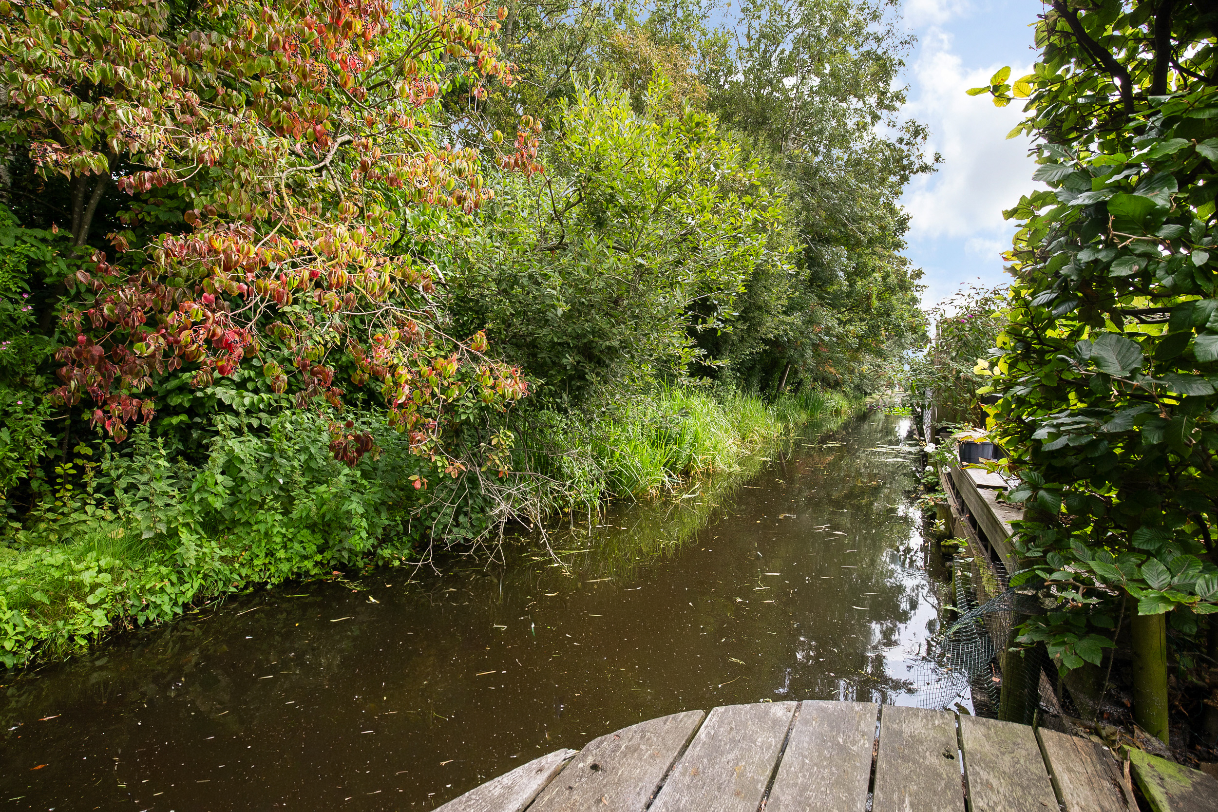 Laagveen 33 , 2461 HG Ter aar