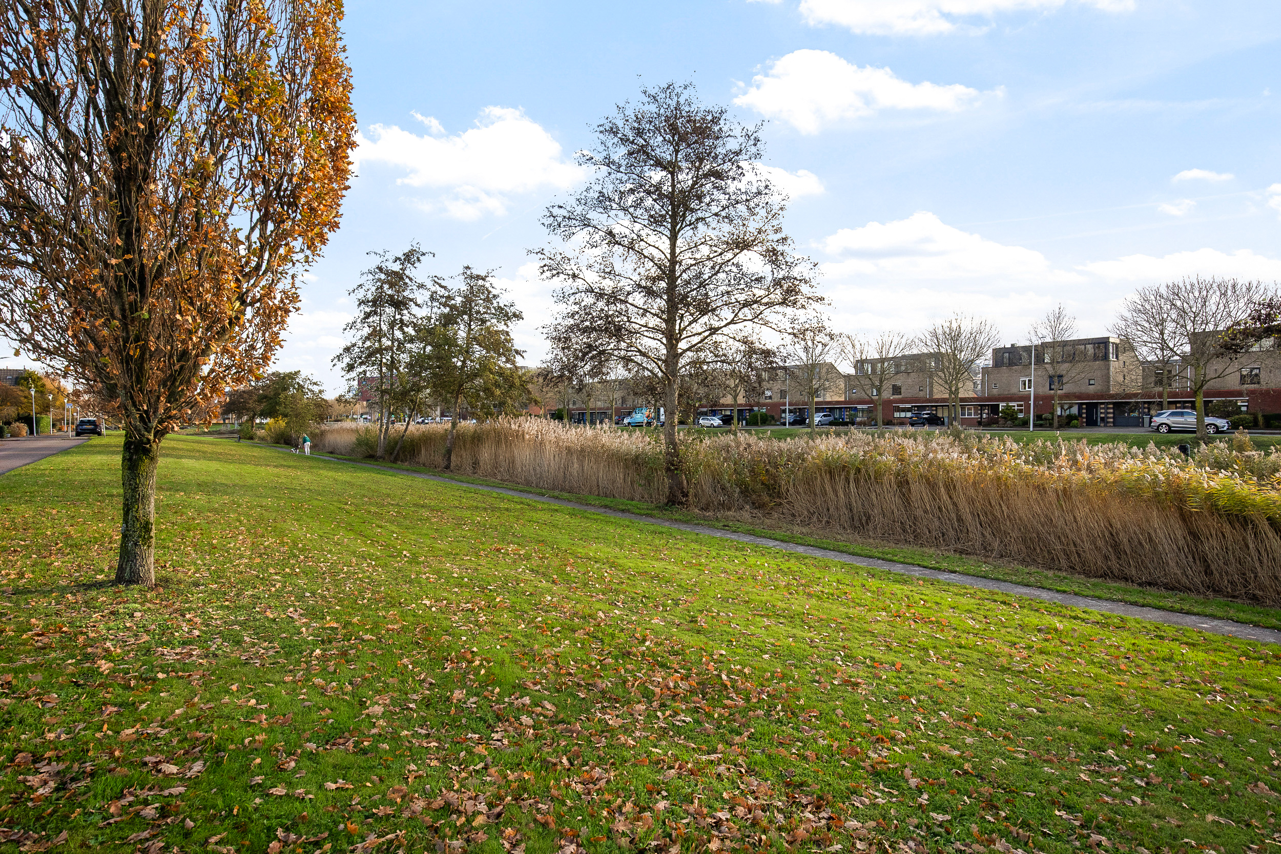 Taniaburg 36 , 2135 BX Hoofddorp