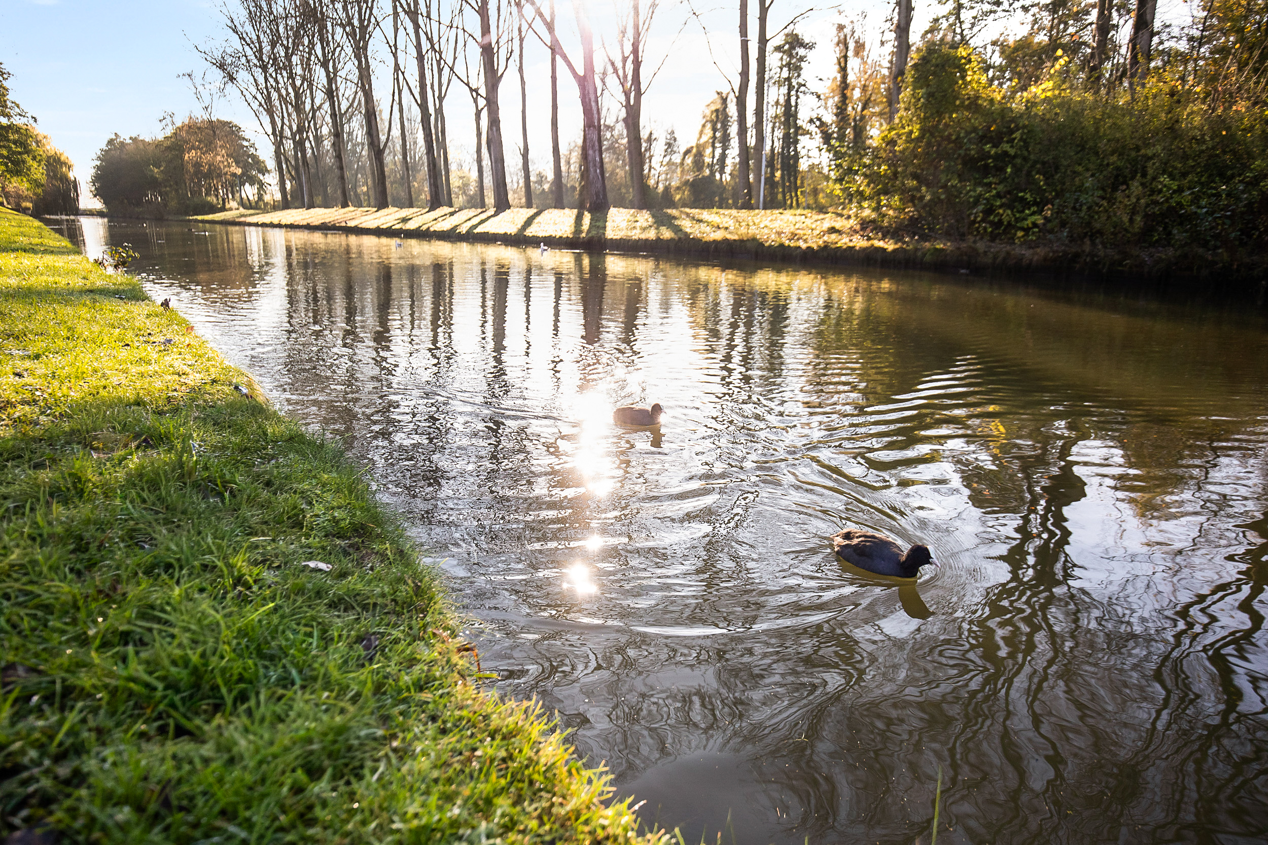 Nachtschadestraat 68 , 2153 EM Nieuw-vennep