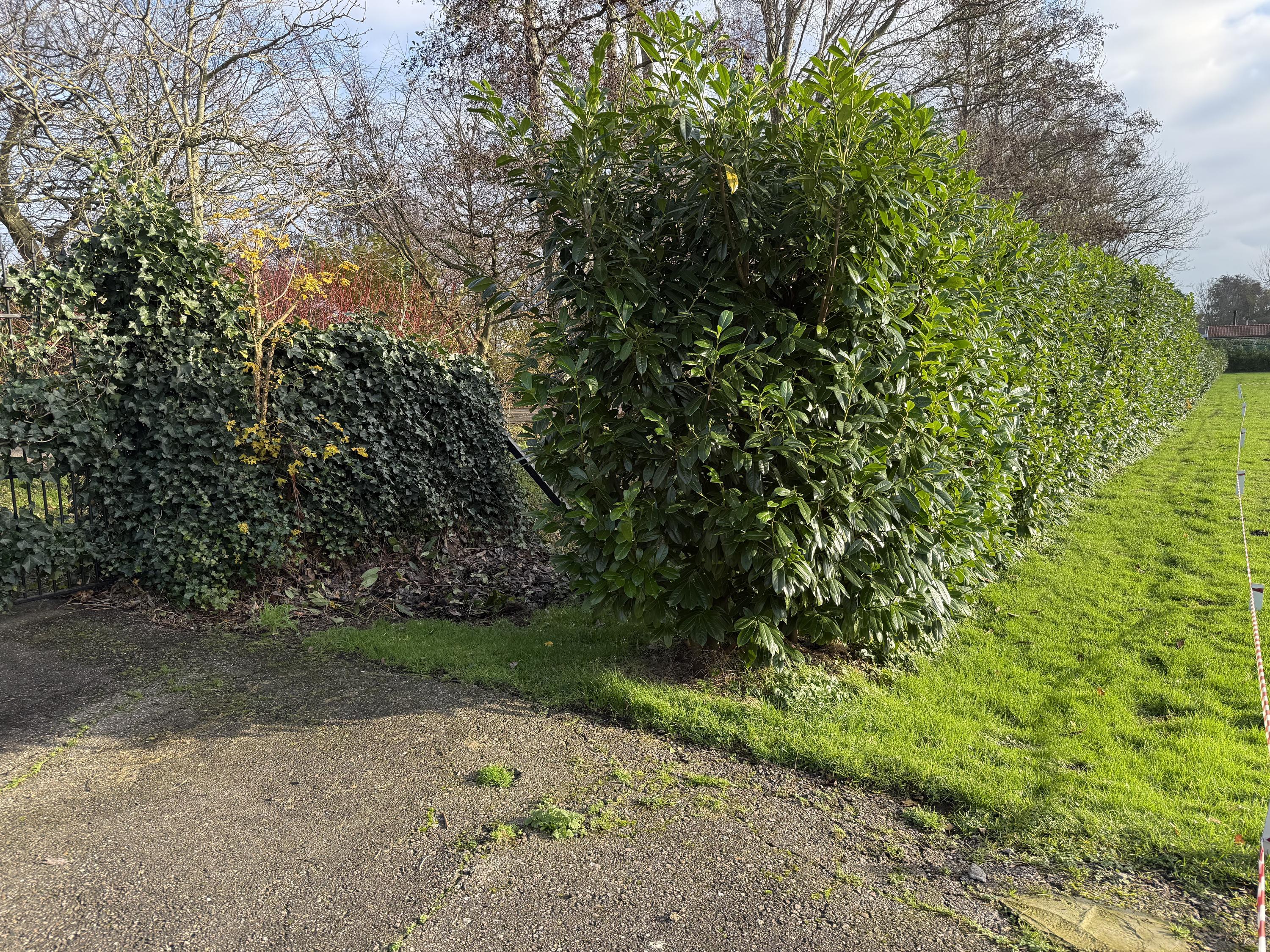 Vijfhuizerdijk 208 , 2141 BK Vijfhuizen