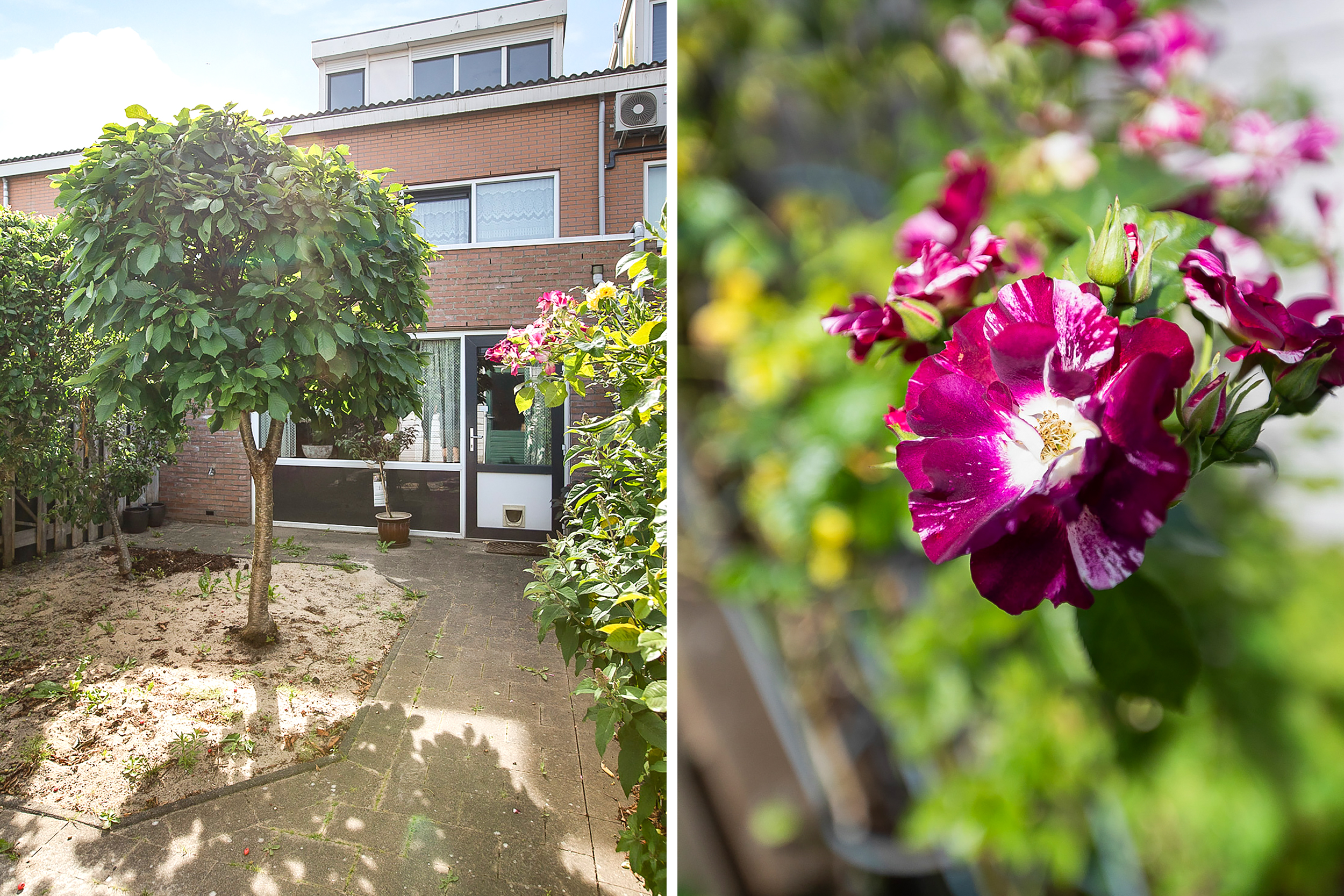 Palmestein 48 , 2151 HM Nieuw-vennep