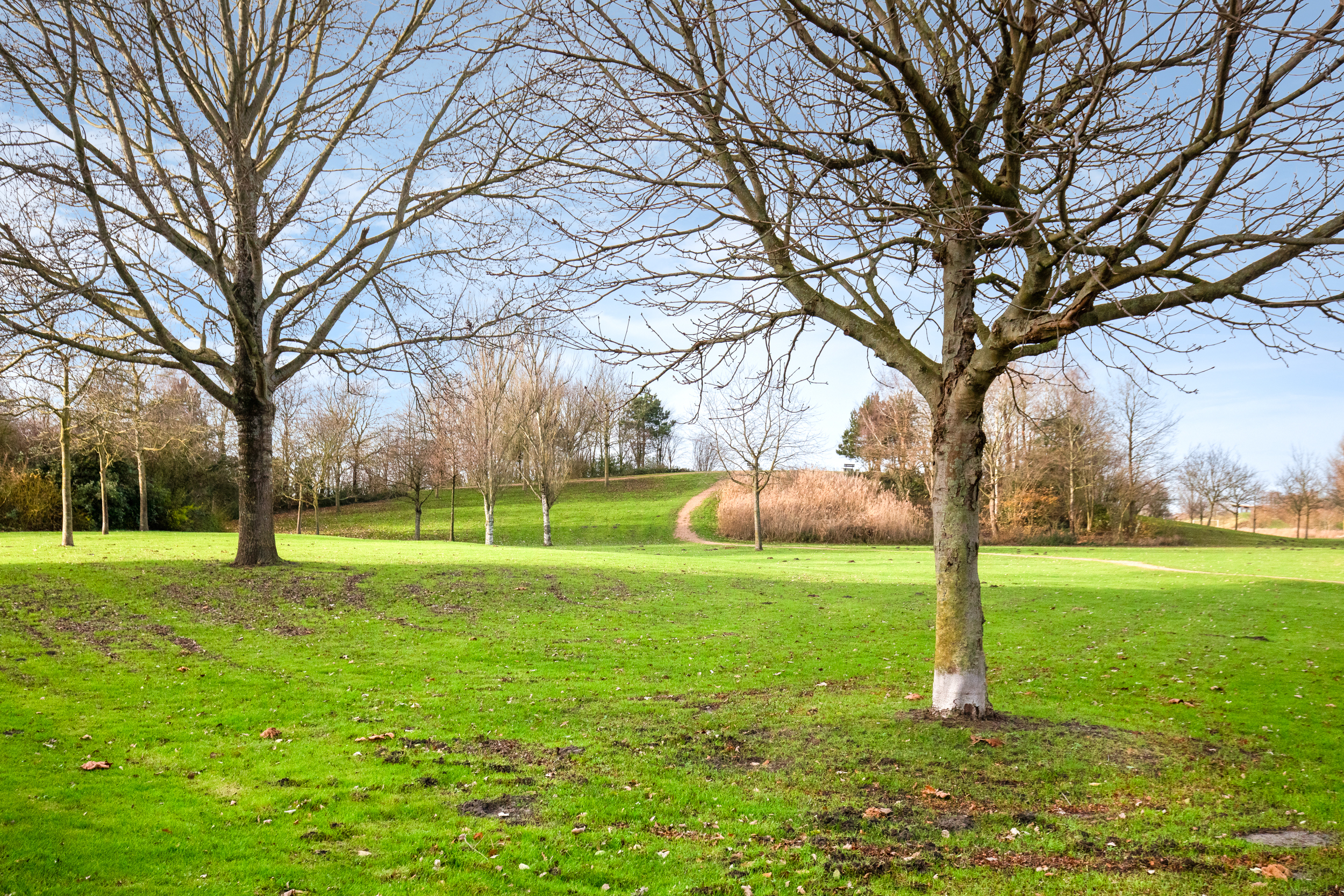 Ridderburgpark 83 , 2135 KT Hoofddorp